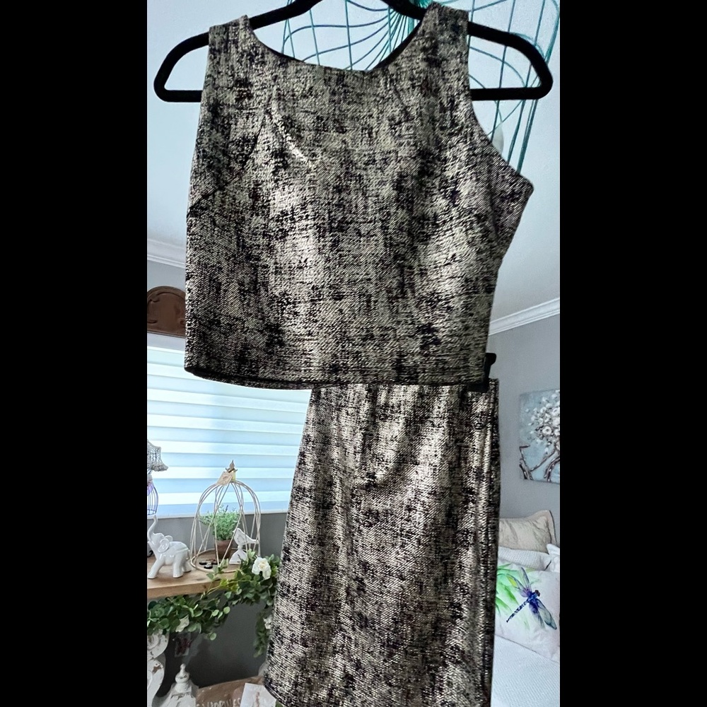 Metallic skirt and top set